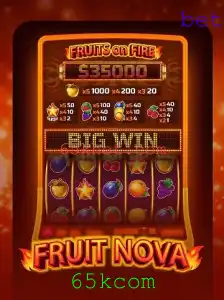 Descobrindo o Mundo de FruitNova: Um Mergulho nas Regras e Dinâmicas do Jogo